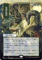 Glossy Finish Strixhaven Mystical Archive Natural Order ( #117 )