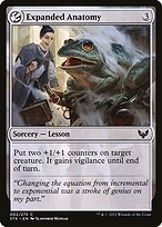 Matte Finish Strixhaven: School of Mages Expanded Anatomy ( #2 )
