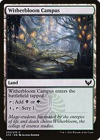 Matte Finish Strixhaven: School of Mages Witherbloom Campus ( #275 )