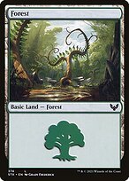 Matte Finish Strixhaven: School of Mages Forest ( #374 )