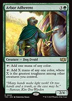 Glossy Finish Tarkir: Dragonstorm Commander Arbor Adherent ( #42 )