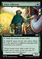 Glossy Finish Tarkir: Dragonstorm Commander Arbor Adherent ( #82 )