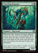 Matte Finish Tarkir: Dragonstorm Traveling Botanist ( #164 )
