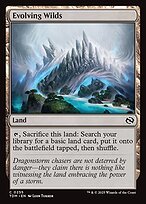 Matte Finish Tarkir: Dragonstorm Evolving Wilds ( #255 )