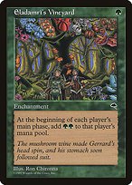 Glossy Finish Tempest Eladamri's Vineyard ( #223 )
