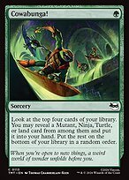 Matte Finish Teenage Mutant Ninja Turtles Cowabunga! ( #113 )