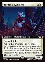 Matte Finish Teenage Mutant Ninja Turtles Turncoat Kunoichi ( #260 )