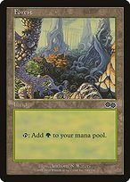 Matte Finish Urza's Saga Forest ( #349 )