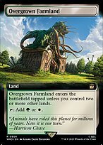 Matte Finish Doctor Who Overgrown Farmland ( #506 )