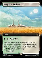 Matte Finish Doctor Who Sungrass Prairie ( #521 )