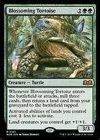 Matte Finish Wilds of Eldraine Blossoming Tortoise ( #163 )