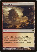 Matte Finish Zendikar Arid Mesa ( #211 )