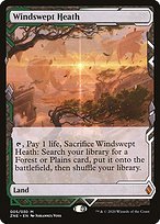 Matte Finish Zendikar Rising Expeditions Windswept Heath ( #5 )