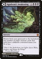 Matte Finish Zendikar Rising Agadeem's Awakening // Agadeem, the Undercrypt ( #90 )
