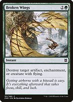 Matte Finish Zendikar Rising Broken Wings ( #181 )