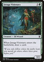 Matte Finish Zendikar Rising Joraga Visionary ( #188 )