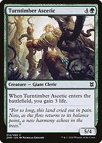 Matte Finish Zendikar Rising Turntimber Ascetic ( #214 )