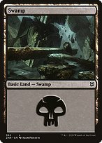 Matte Finish Zendikar Rising Swamp ( #382 )