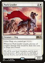 Glossy Finish Pack Leader ( #392 )