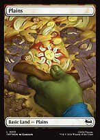 Glossy Finish Plains ( #310 )