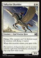 Glossy Finish Valkyrior Skyrider (# 525 )