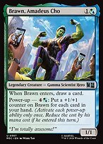 Glossy Finish Brawn, Amadeus Cho (# 567 )