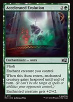 Glossy Finish Accelerated Evolution (# 711 )