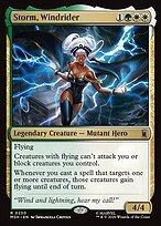 Matte Finish Storm, Windrider (# 230 )