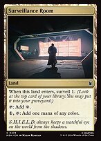 Matte Finish Surveillance Room (# 274 )